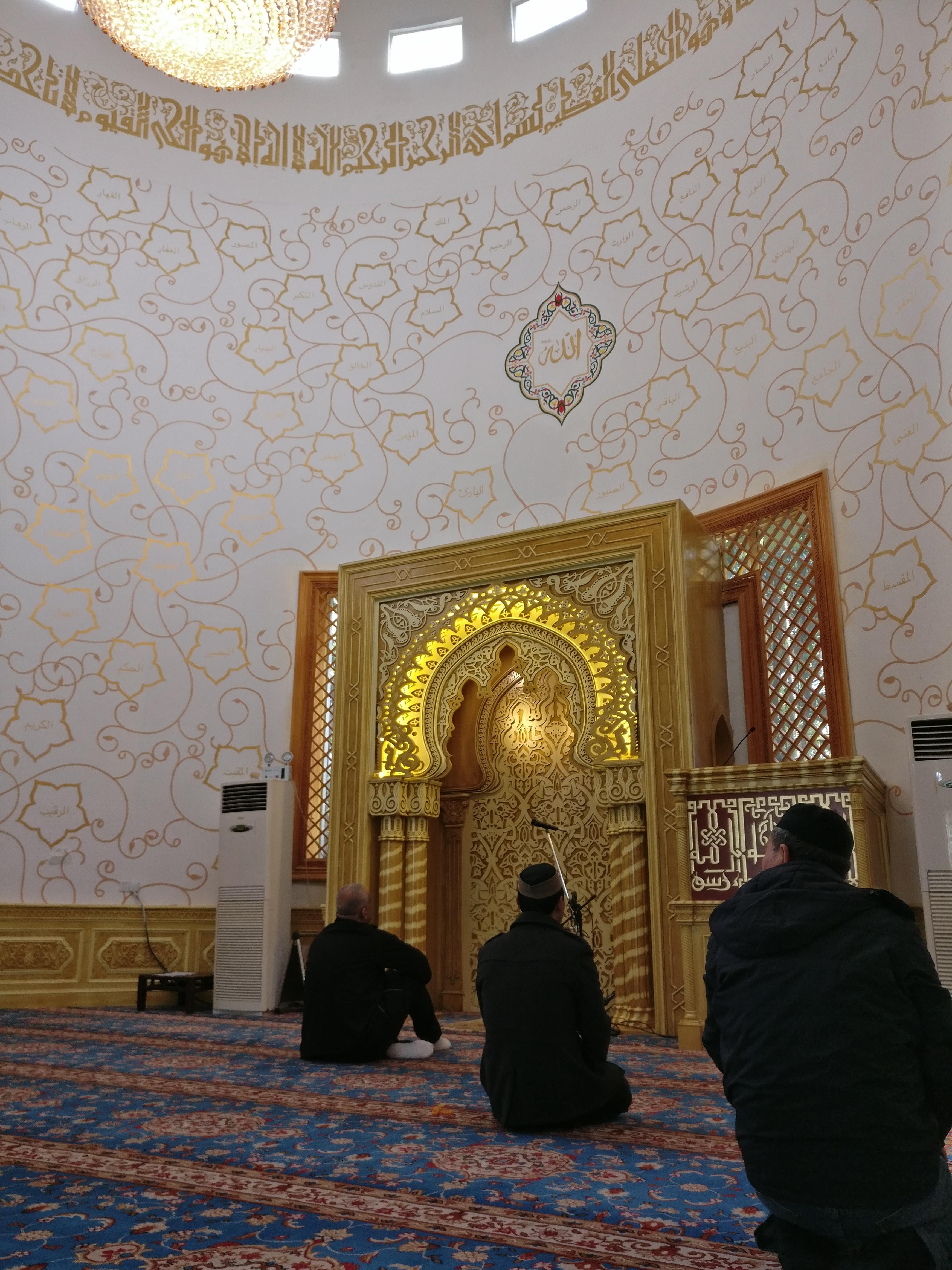 IMG_20190329_122659.jpg